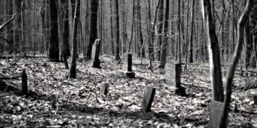 Red Ash Island Cemetery. Photo: April Uhl Brooks