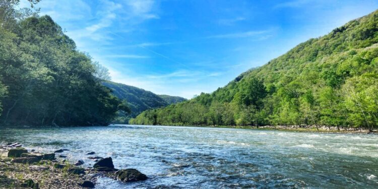 View of New River from Stone Cliff Trail