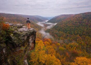 Tucker County announces the best fall foliage viewing times