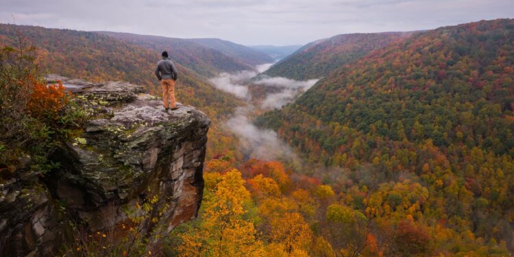 Tucker County announces the best fall foliage viewing times