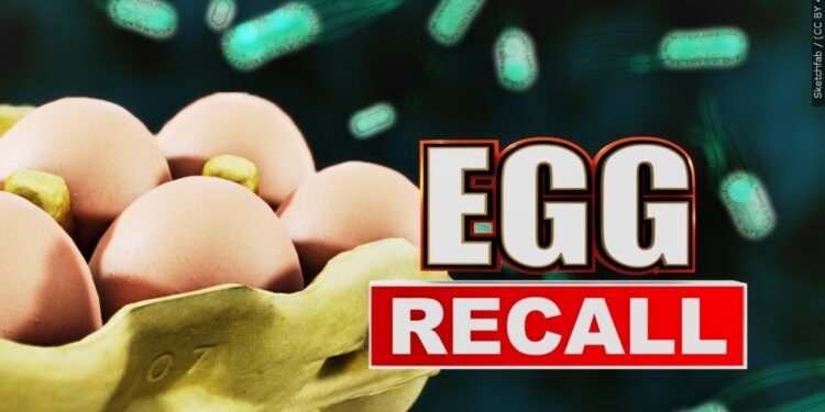 Eggs recalled after dozens sickened with Salmonella