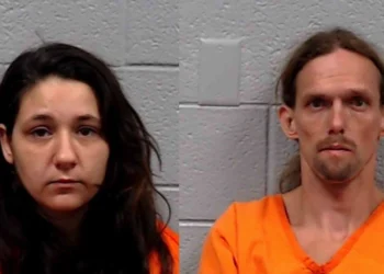 Two adults found passed out, children had bug bites and lice