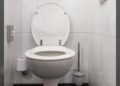 Doctors Warn Against Sitting on the Toilet for More Than 10 Minutes