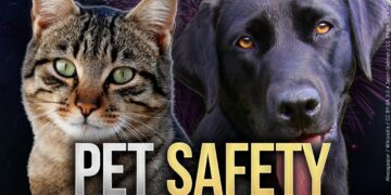 Holiday Hazards for Pets: Toxic Foods and Substances to Avoid