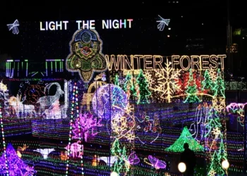 Salango Law Light the Night Announces Return of Sensory-Friendly Nights for 2024 Holiday Season