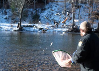 WVDNR announces return of trout stockings