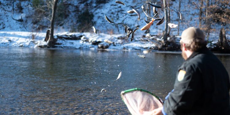 WVDNR announces return of trout stockings