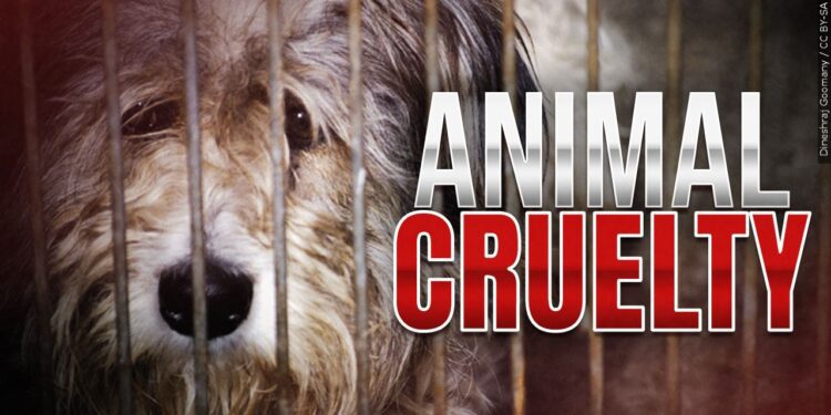 New bill introduced would create felony offense of cruelty to animals