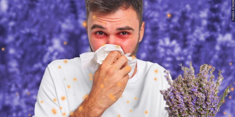 Allergies Acting Up? Experts Warn Pests Could Be to Blame