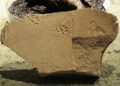 Ancient Footprints Unearthed at John Day Fossil Beds Reveal Prehistoric Animal Behaviors
