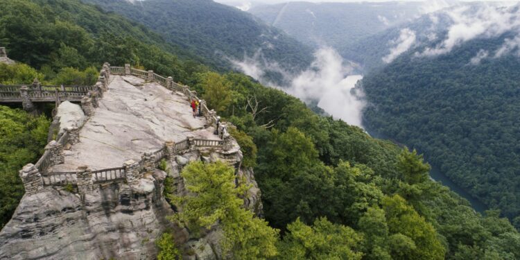 New Campsites at Coopers Rock State Forest Now Available for Reservations