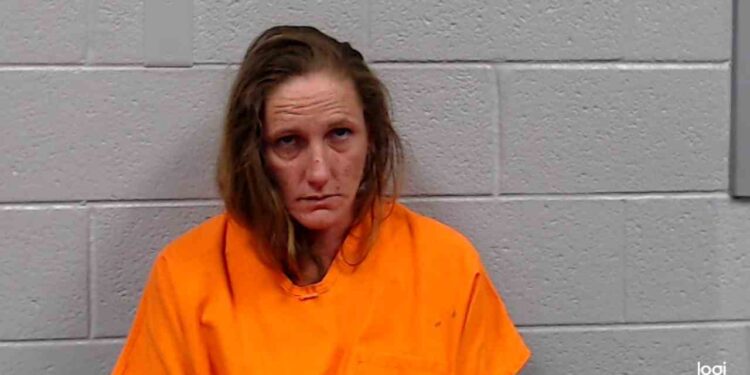 Woman Flees Mercer County Courthouse After Probation Revoked