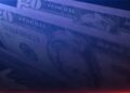Putnam County Veterinarian Ordered to Pay $956,709 in Civil Penalties
