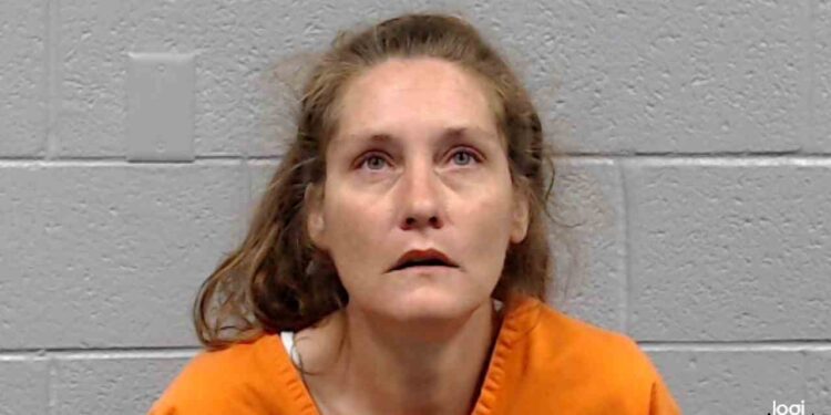 “You can’t talk to me like that”- woman arrested in Wyoming County