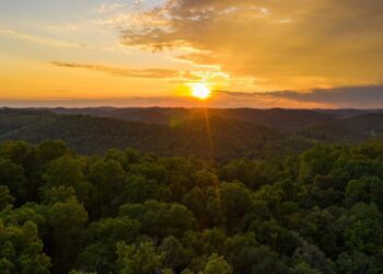 WVDNR to Host Public Meeting on Forks of Coal Master Plan
