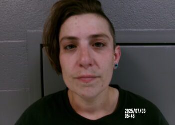 Woman Arrested After Alleged Domestic Disturbance, Property Damage, and Threats to Officer