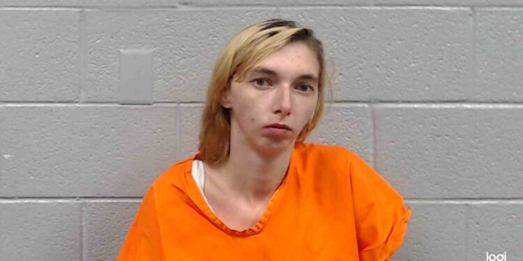 Woman Arrested After Shoplifting, Lying About Identity During Traffic Stop in Lewisburg
