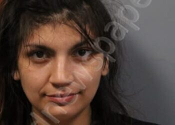 Woman Accused of Assaulting Man with Frozen Hamburger,
